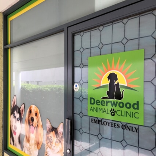Window Graphics